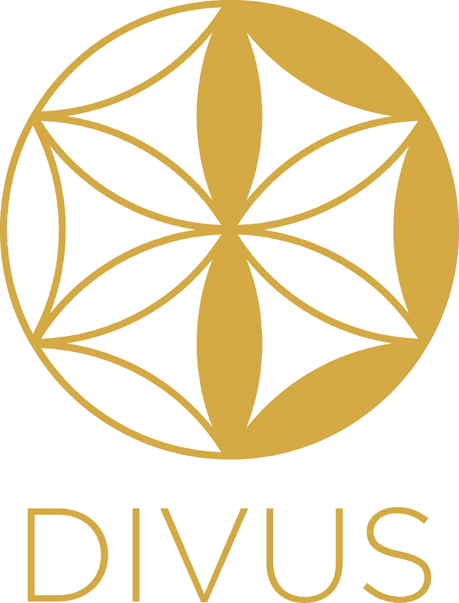 Логотип Клиника Дивус